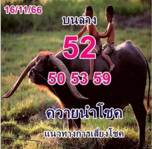 หวยควายนำโชค